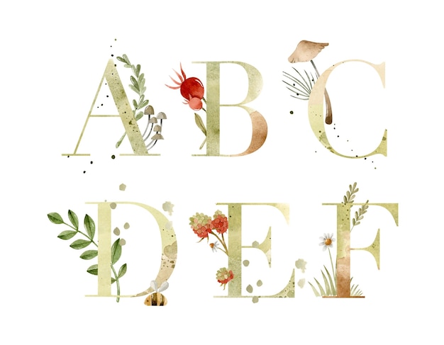 Watercolor textured letters from A to F in uppercase with natural elements decoration