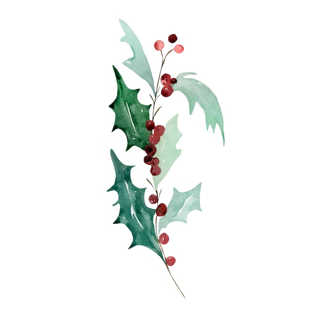 Watercolor traditional winter holly branch with berries for modern christmas