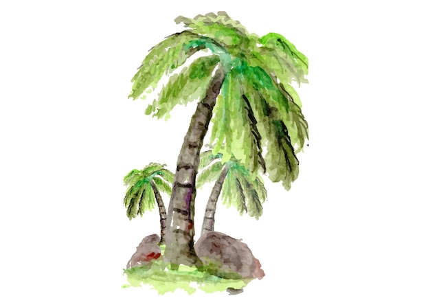 Watercolor tree coconut