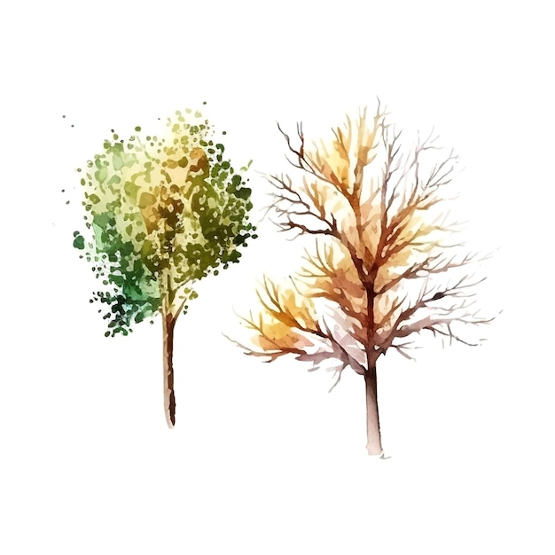 Watercolor tree hand draw vector nature painting