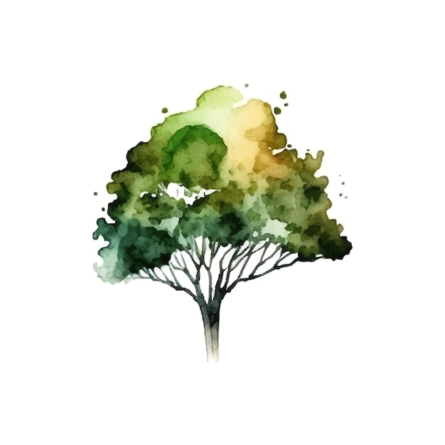 Watercolor tree hand draw vector nature painting