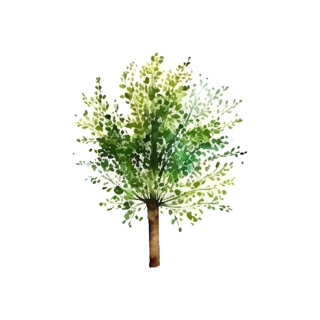 Watercolor tree hand draw vector nature painting