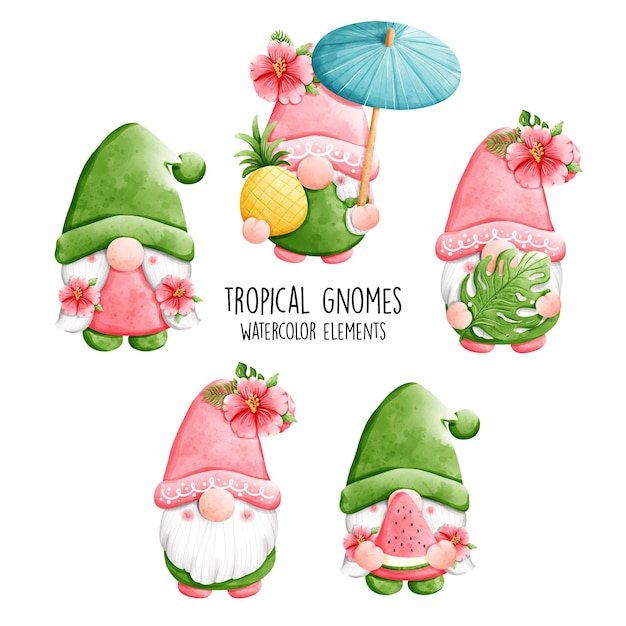 Vector watercolor tropical gnomes vector illustration