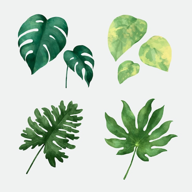 Watercolor tropical leaf vector set