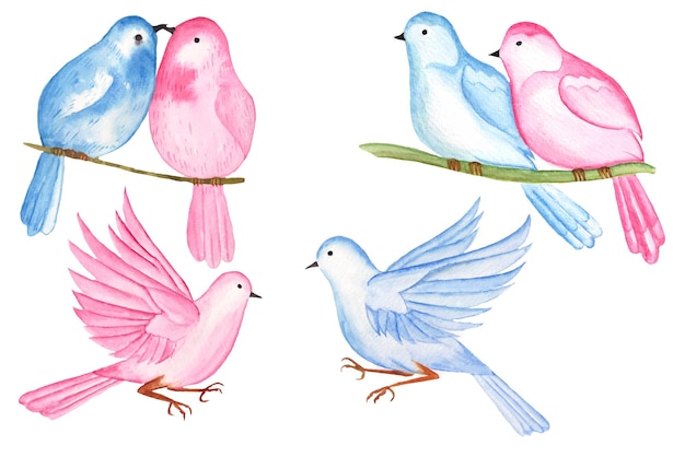 Watercolor Valentine Couple Bird clipart, valentine cute love bird illustration