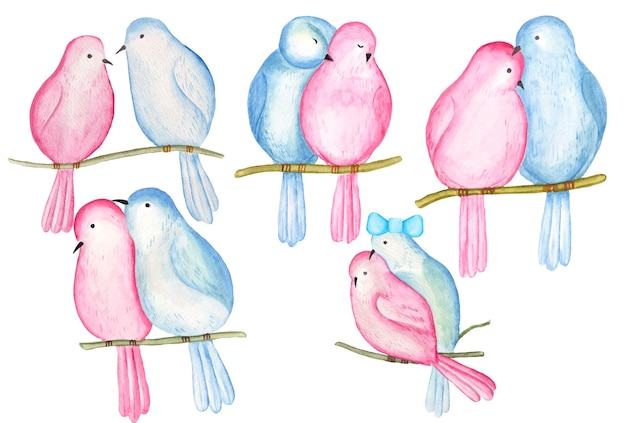 Watercolor Valentine Couple Bird clipart, valentine cute love bird illustration