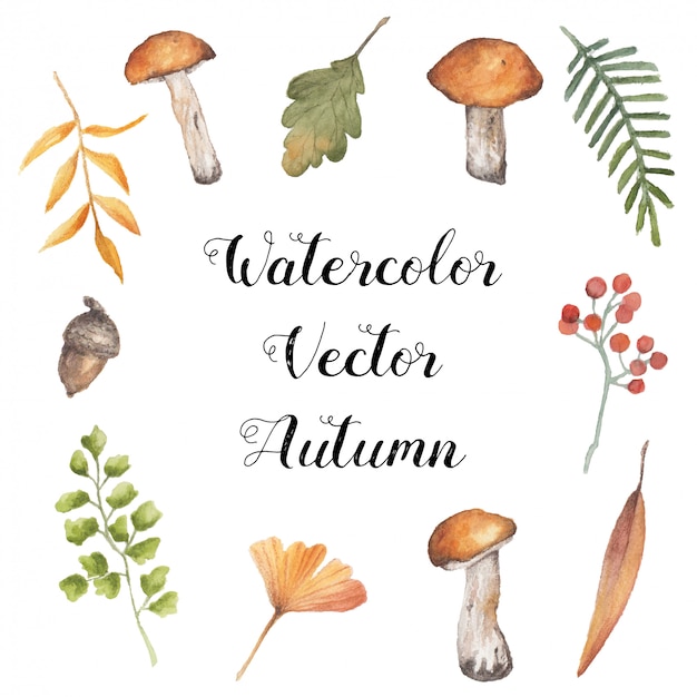 Watercolor Vector Autumn Collection