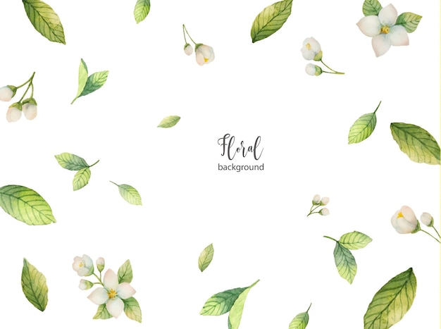 Watercolor vector background of flowers and branches Jasmine