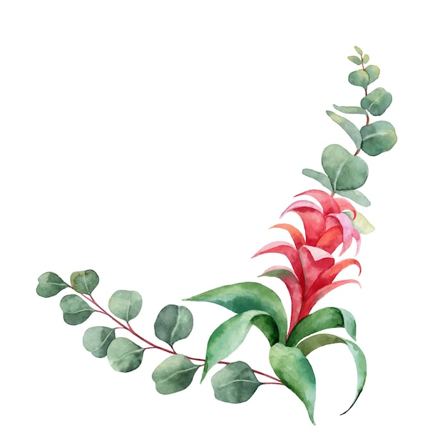 Watercolor vector branches with green eucalyptus and exotic flower