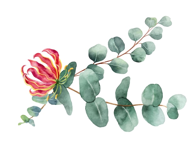 Watercolor vector branches with green eucalyptus and exotic flower