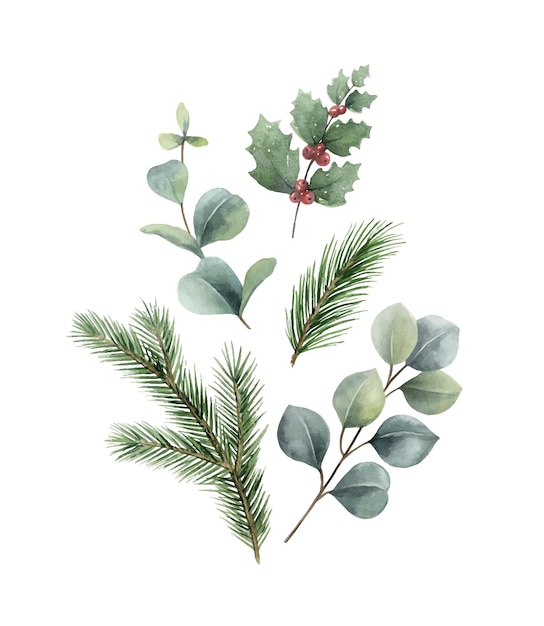 Watercolor vector Christmas card with fir branches and eucalyptus