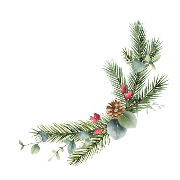 Watercolor vector Christmas wreath with fir branches cone and eucalyptus