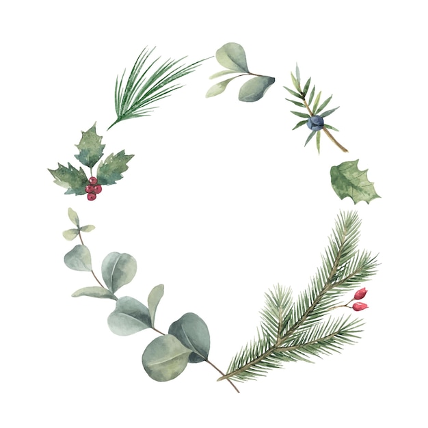 Watercolor vector Christmas wreath with fir branches and eucalyptus