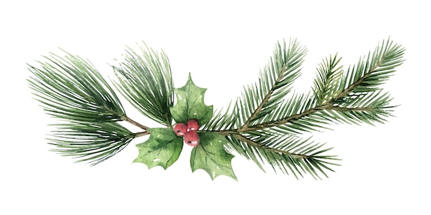 Watercolor vector Christmas wreath with fir branches and green leaves