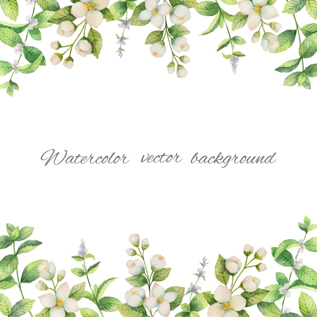 Watercolor vector frame of flowers and branches Jasmine isolated on a white background