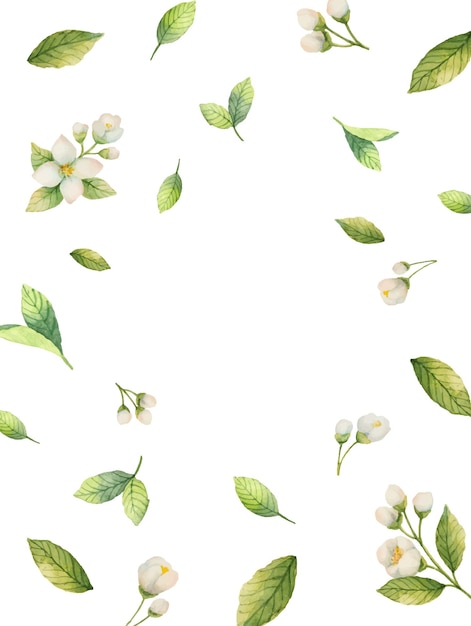 Watercolor vector frame of flowers and branches Jasmine isolated on a white background