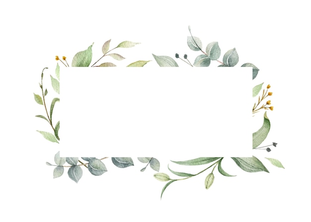 Watercolor vector frame of green eucalyptus branches and leaves