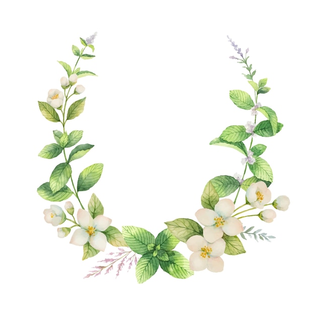 Watercolor vector frame of Jasmine and mint branches isolated on white background