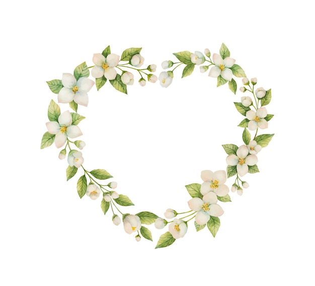 Watercolor vector frame in the shape of a heart of Jasmine flowers isolated on a white background