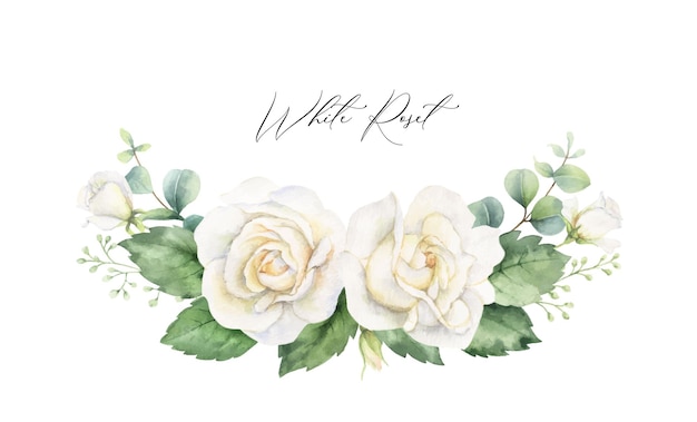 Watercolor vector hand painted wreath with green eucalyptus leaves and white roses