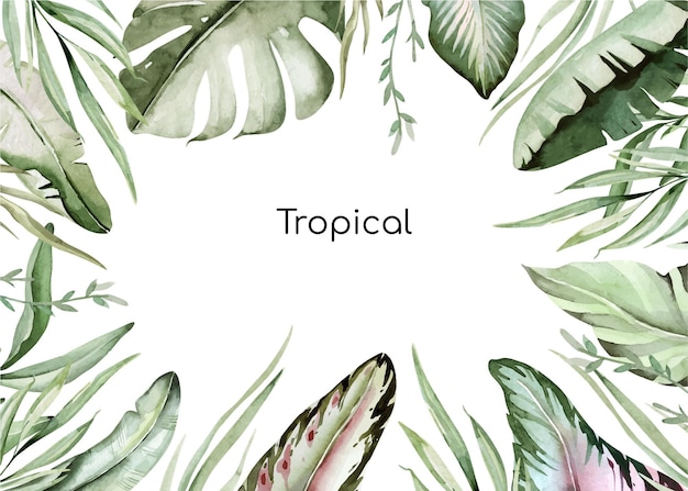 Watercolor vector illustration Summer tropical frame with banana leaves monstera and palm leaves Perfect for wedding invitations prints postcards posters