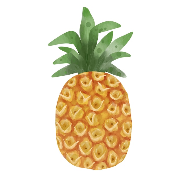 Watercolor vector pineapple for summer