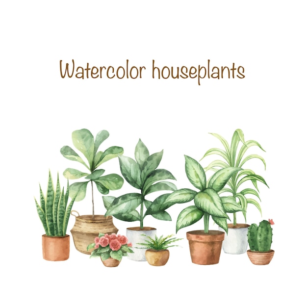 Watercolor vector set with home plants in ceramic pots