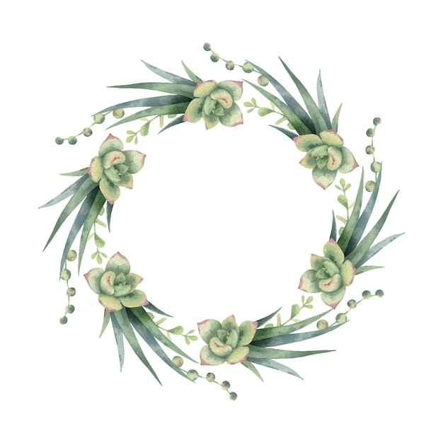 Watercolor vector wreath of cacti and succulent plants isolated on white background