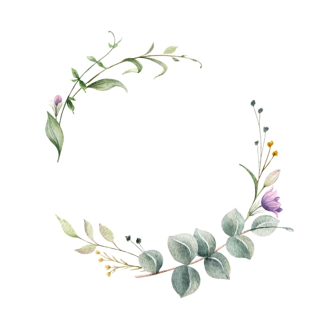 Watercolor vector wreath of green eucalyptus branches and flowers