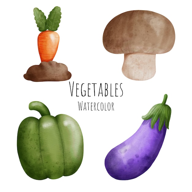 Watercolor vegetables. Vector illustration