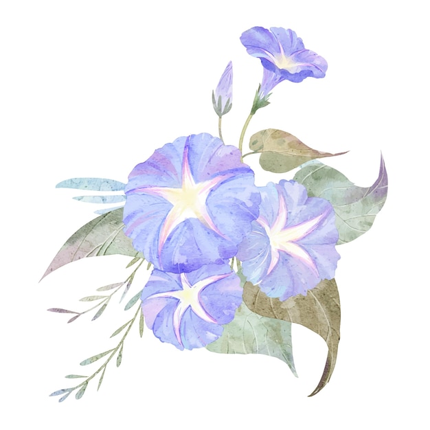 Watercolor violet Morning glory flowers illustration design element