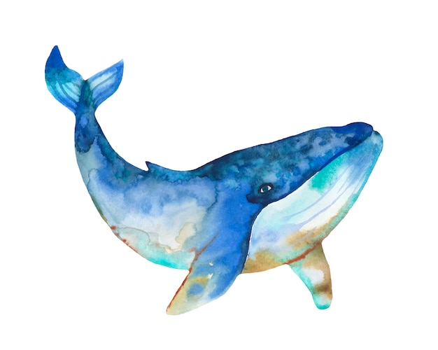 Watercolor whale with abstract splash.