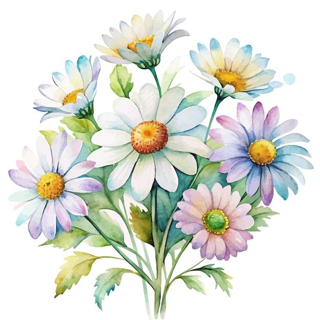 Watercolor White Daisy Flower