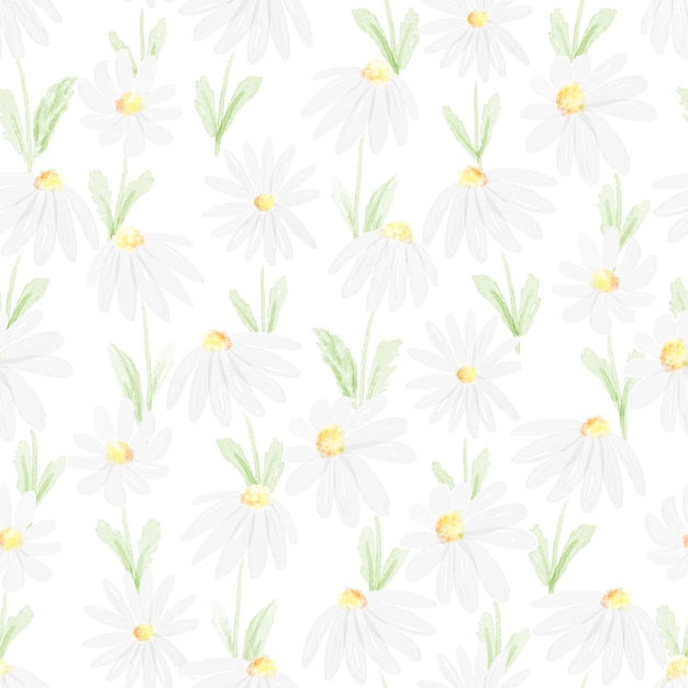 Vector watercolor white daisy seamless pattern   illustration