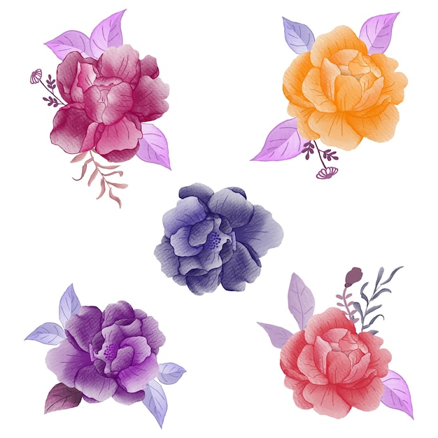 watercolor wild floral design set template