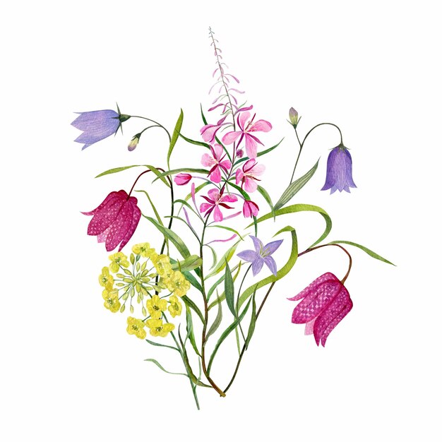 Vector watercolor wild spring flowers