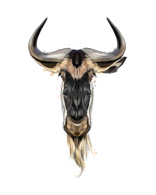 watercolor Wildebeest head portrait on white