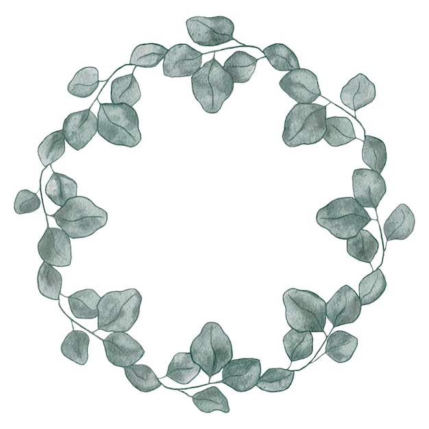 Watercolor wreath frame from eucalyptus leaves on a white background