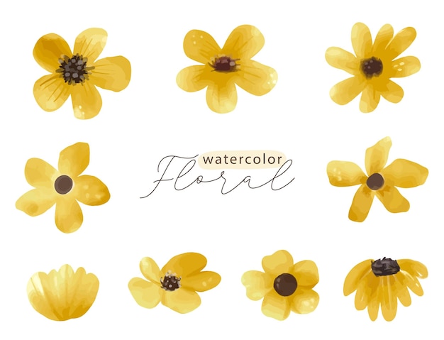 Watercolor yellow spring floral element set of wildflowers herbs leaf branches Isolated botanical