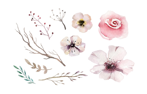 Watercolour floral flower leaves branch elements collection for bouquets wreaths arrangements