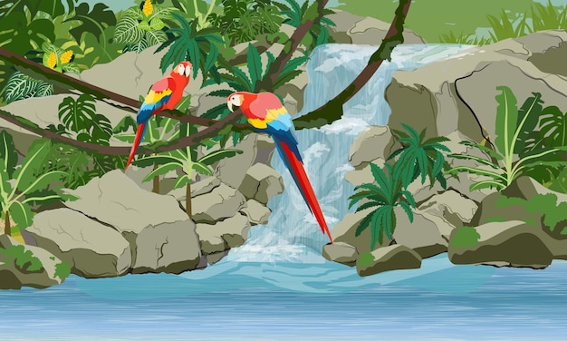 Waterfall in the jungle. Two bright macaw parrots on vines. Rock, creepers, banana trees