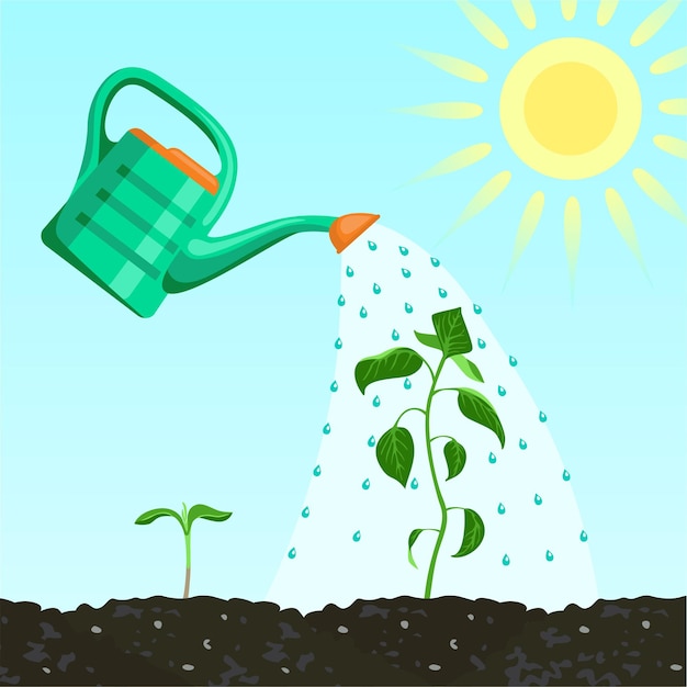 Watering can and green plants in soil.