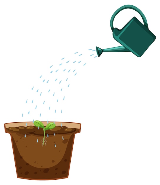 Watering can and plant pot