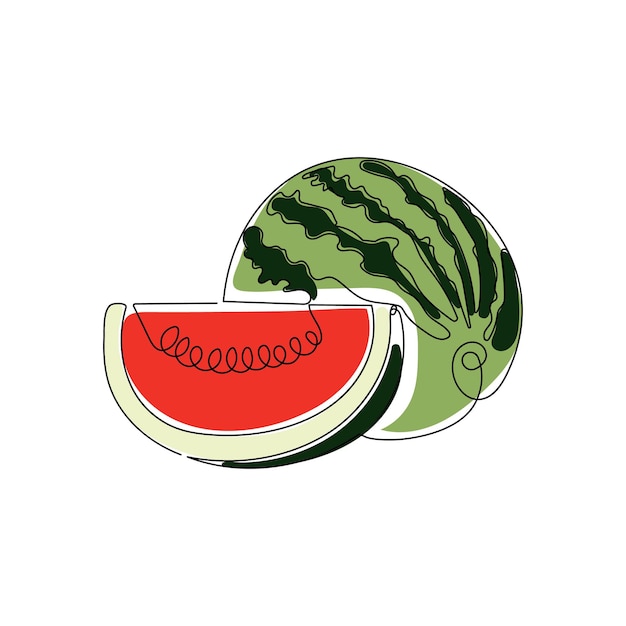 Watermelon berry fruit in one continuous line drawing style. Hand drawn vector illustration.