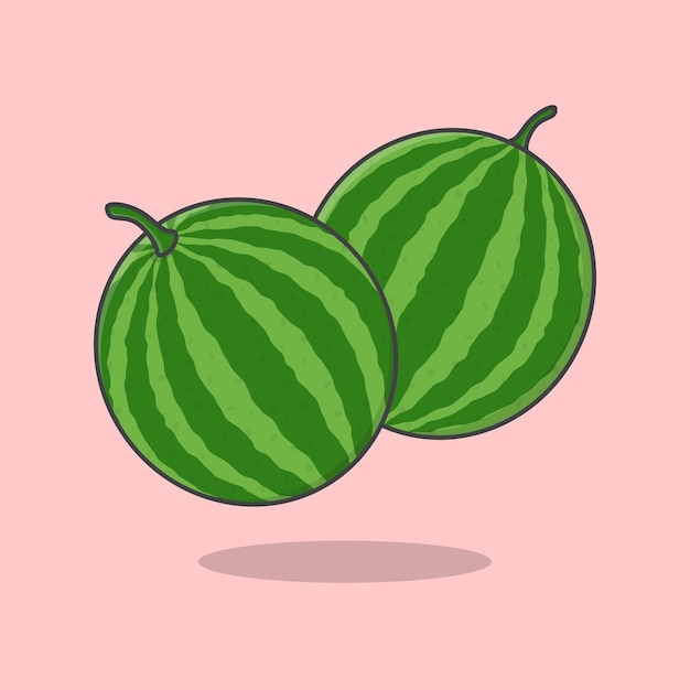 Watermelon Cartoon Vector Illustration Fresh Watermelon Flat Icon Outline Watermelon