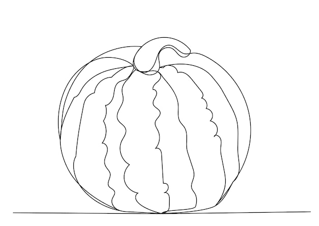 Watermelon drawing one continuous line vector