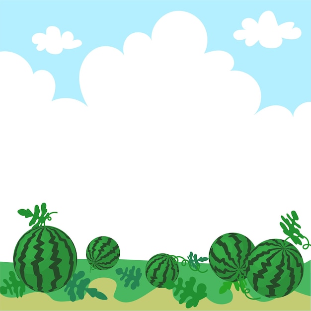 Watermelon Field Background in Summer Scenery