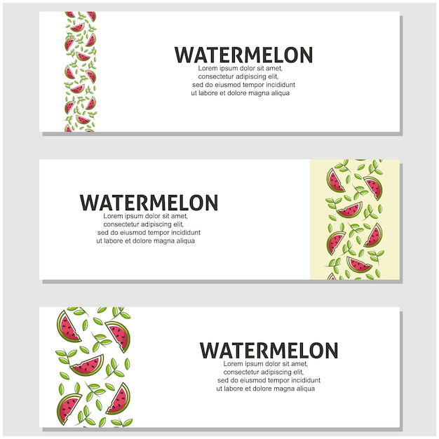 Watermelon fruit in flat design