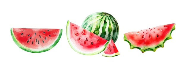 Watermelon fruit watercolor collection Set of fresh watermelon painted isolated on white background Healthy watermelon vector illustration