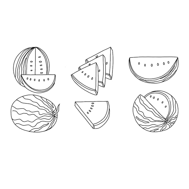 Vector watermelon handrawn doodle illustrations vector set